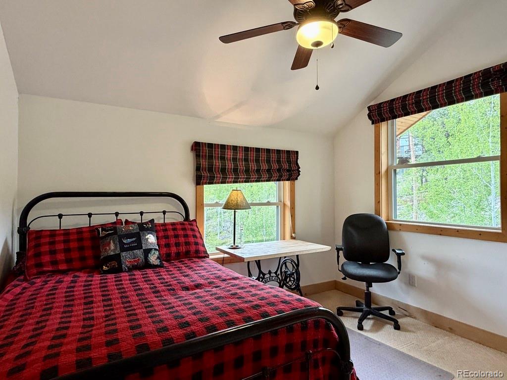 MLS Image #21 for 834  lodge pole drive,leadville, Colorado