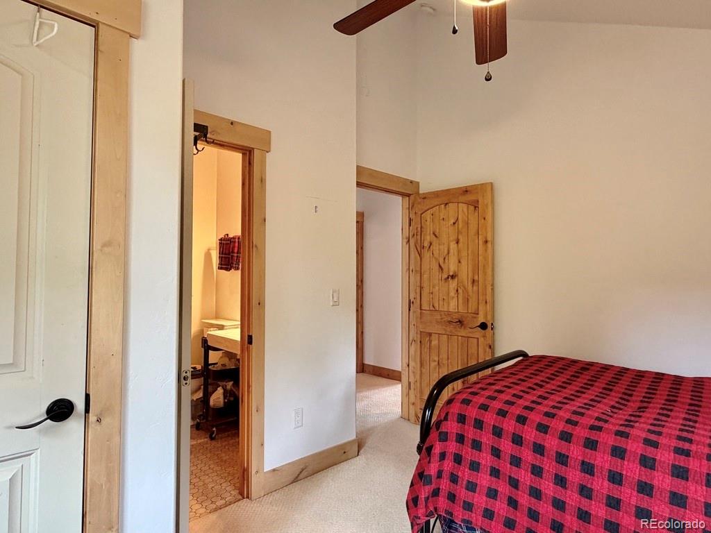 MLS Image #22 for 834  lodge pole drive,leadville, Colorado