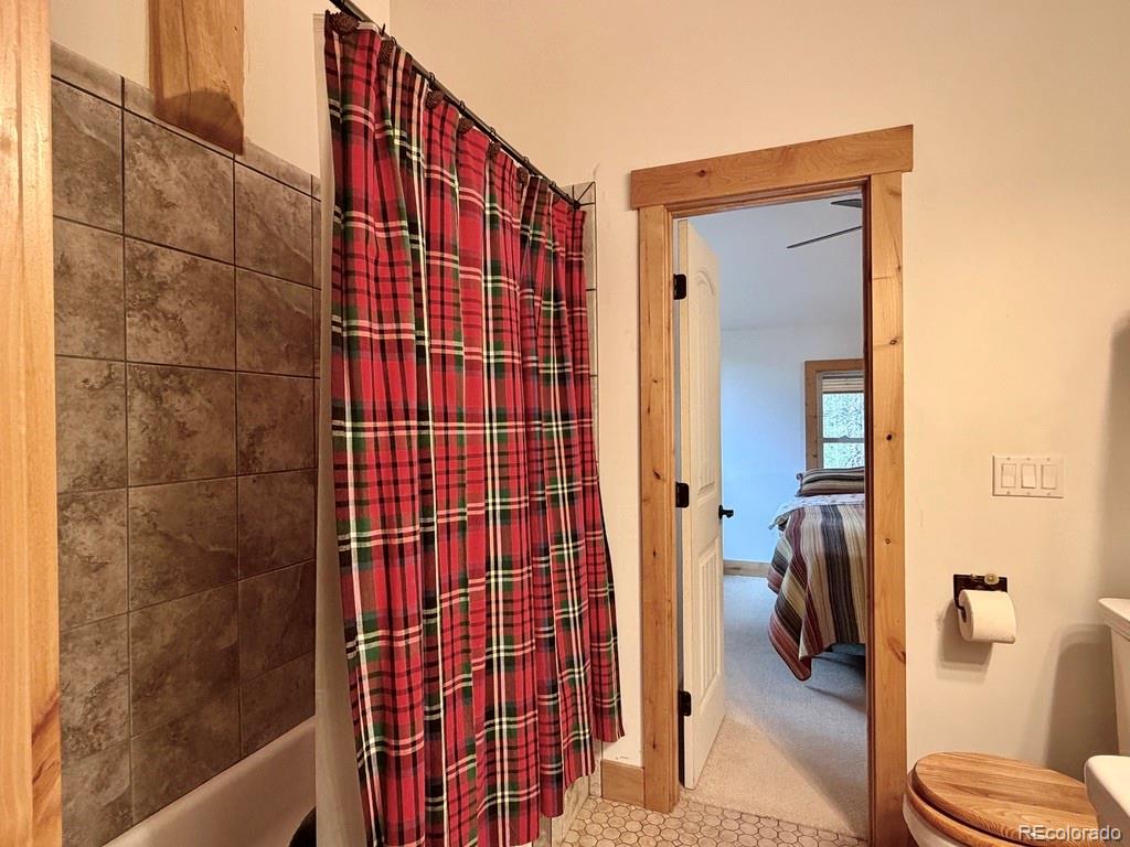 MLS Image #23 for 834  lodge pole drive,leadville, Colorado
