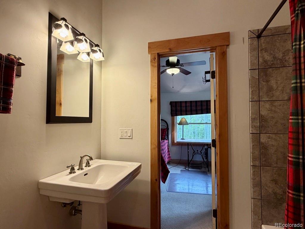 MLS Image #24 for 834  lodge pole drive,leadville, Colorado