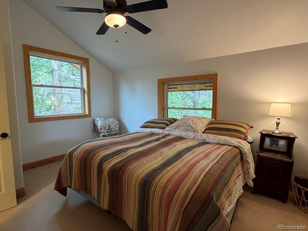 MLS Image #25 for 834  lodge pole drive,leadville, Colorado