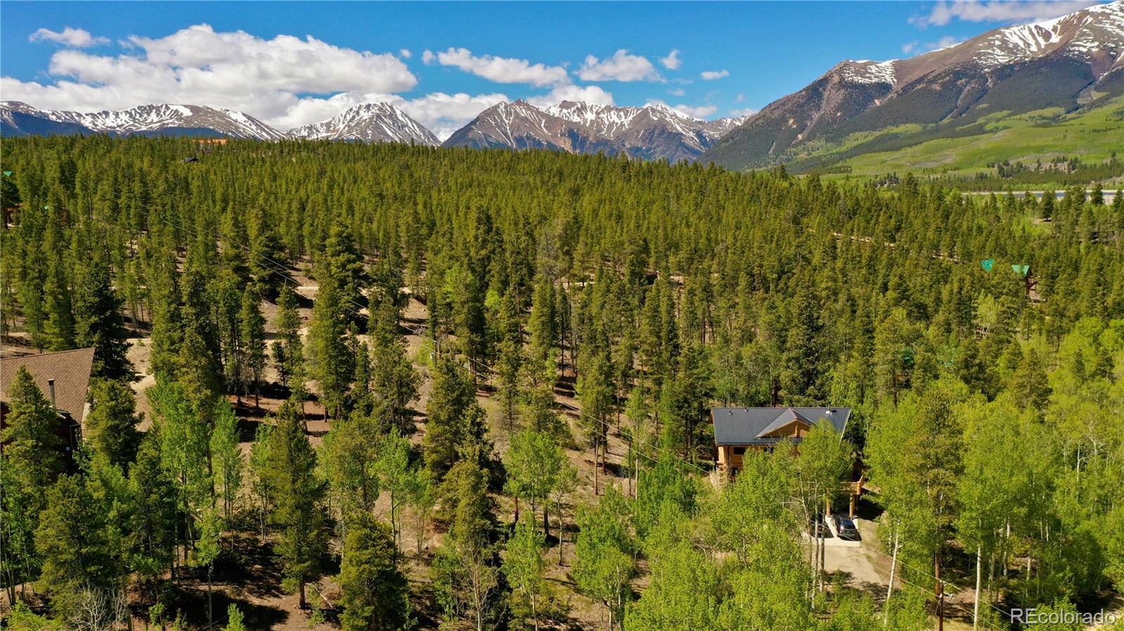 MLS Image #3 for 834  lodge pole drive,leadville, Colorado