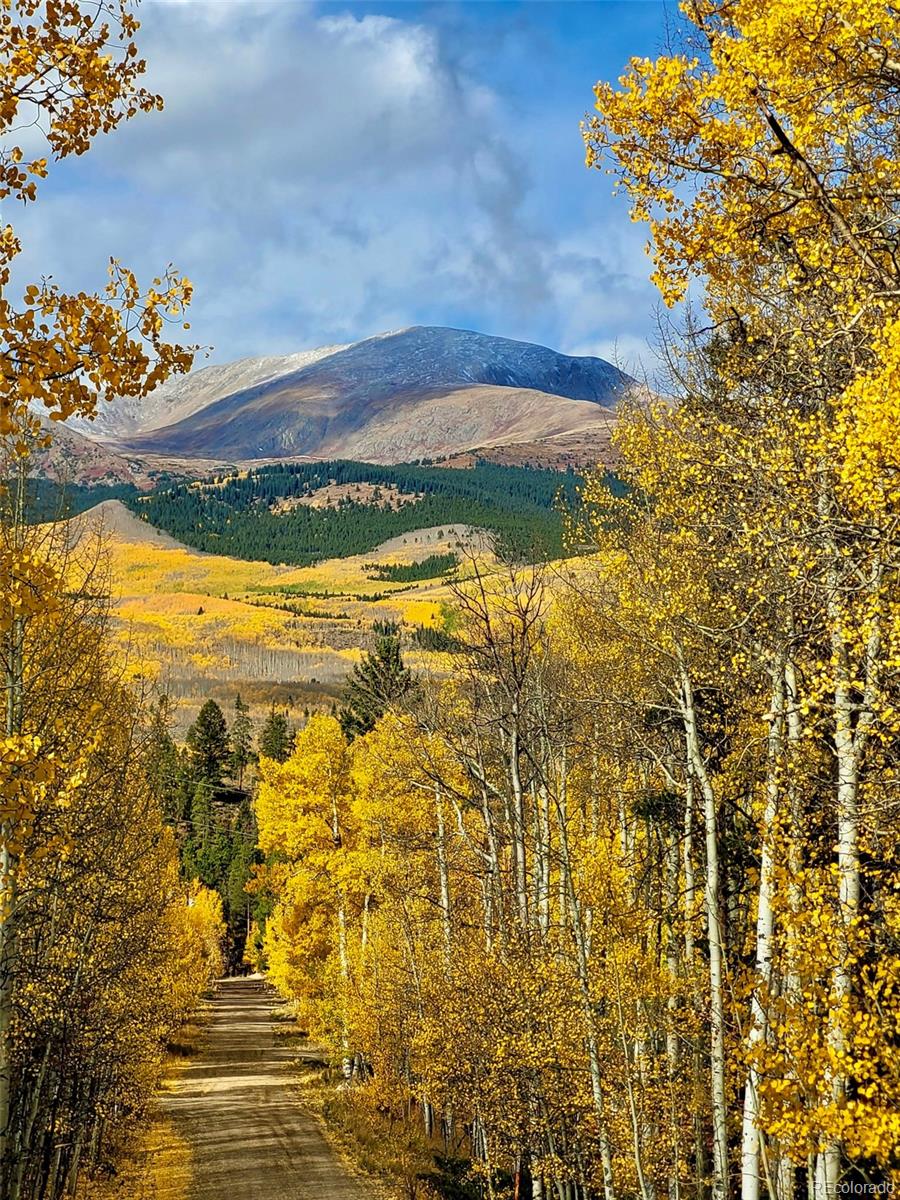 MLS Image #33 for 834  lodge pole drive,leadville, Colorado