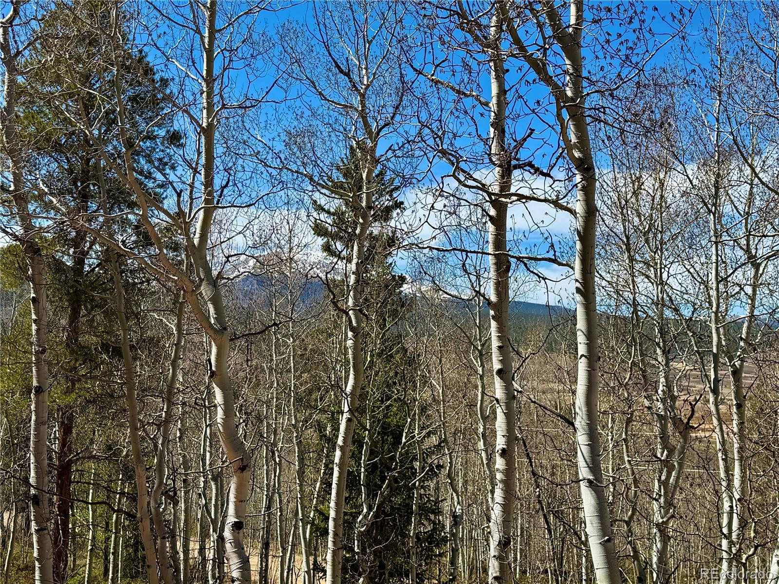 MLS Image #35 for 834  lodge pole drive,leadville, Colorado