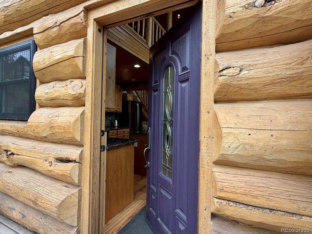 MLS Image #4 for 834  lodge pole drive,leadville, Colorado
