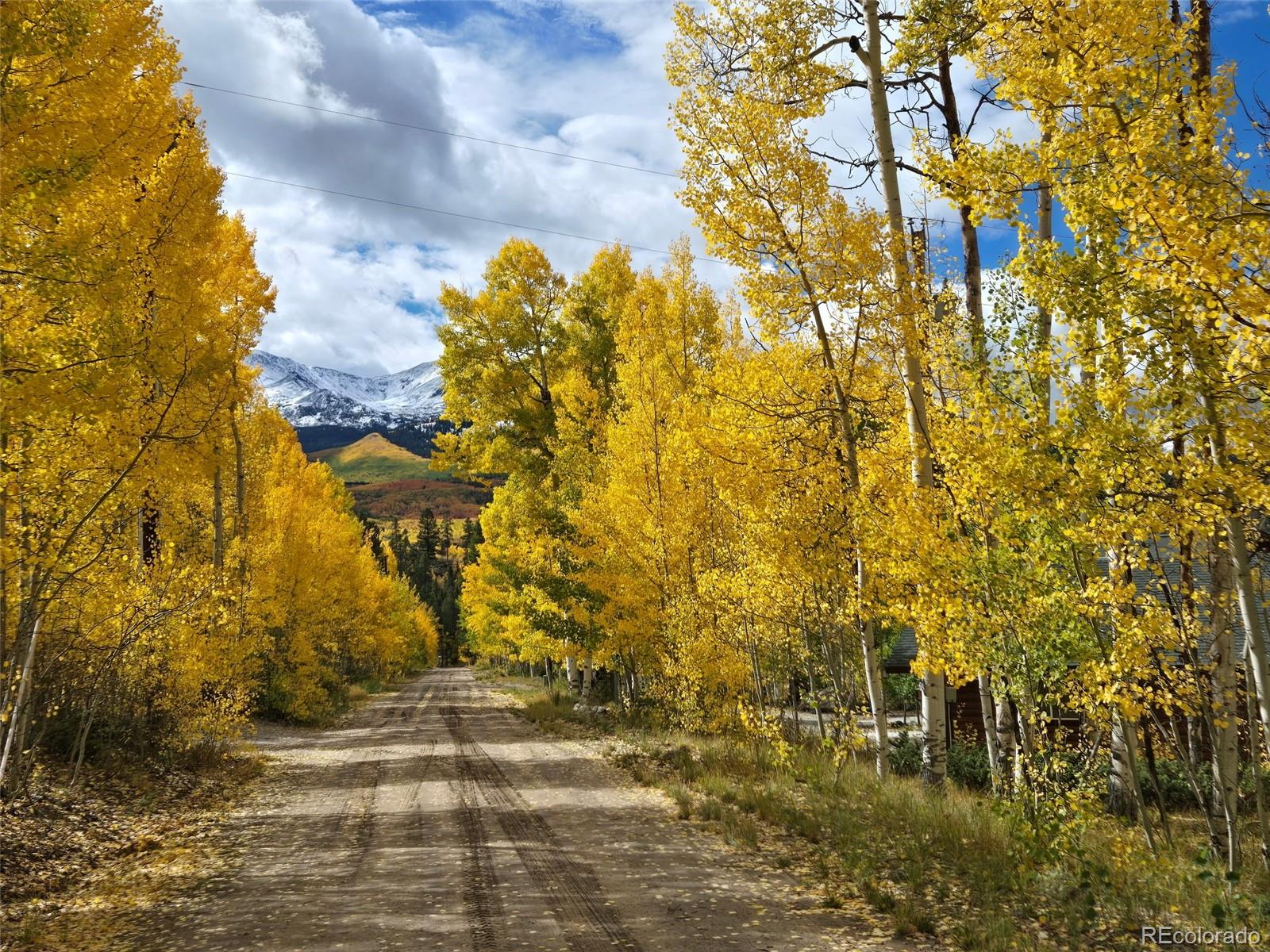 MLS Image #40 for 834  lodge pole drive,leadville, Colorado