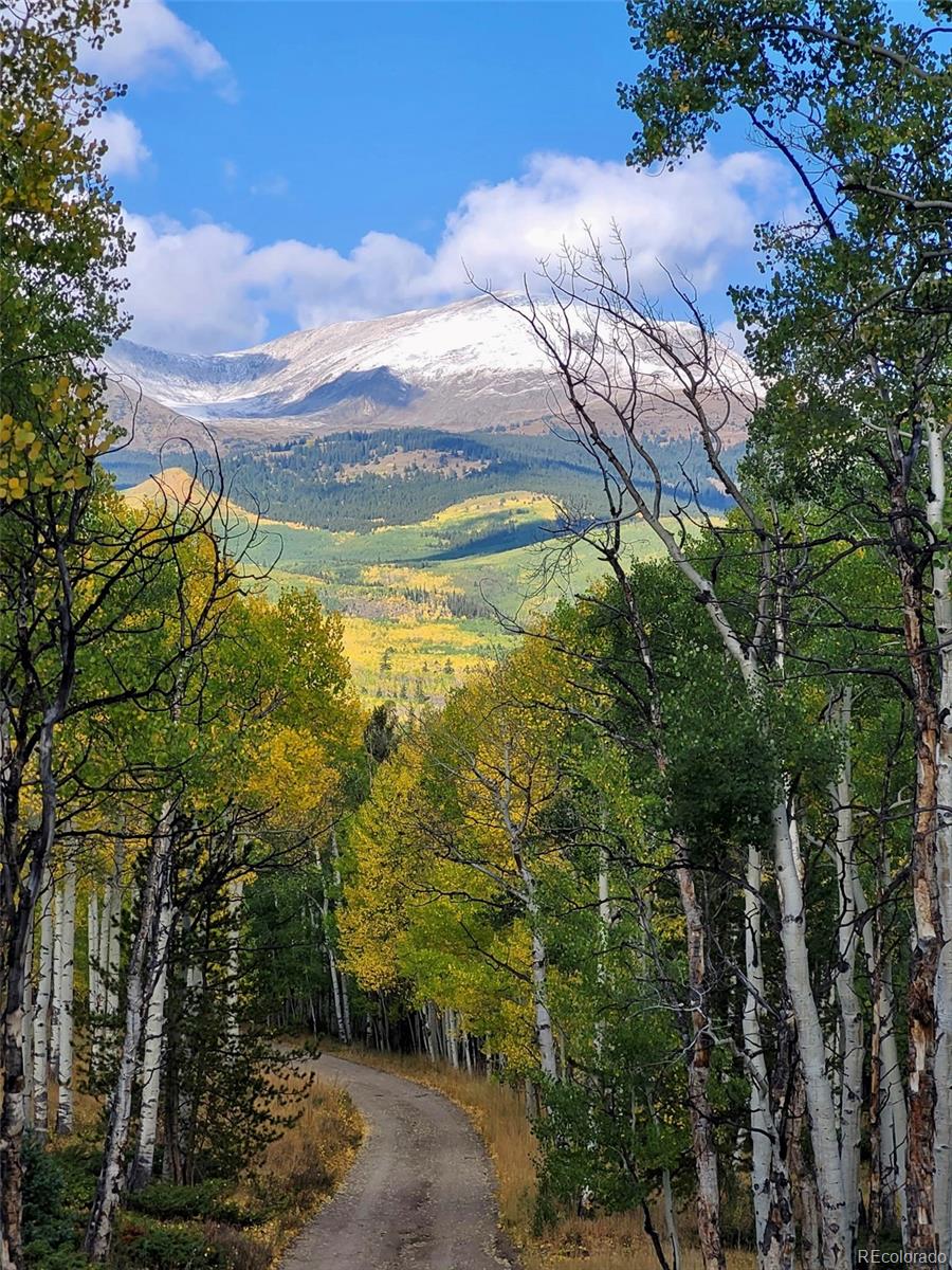 MLS Image #41 for 834  lodge pole drive,leadville, Colorado