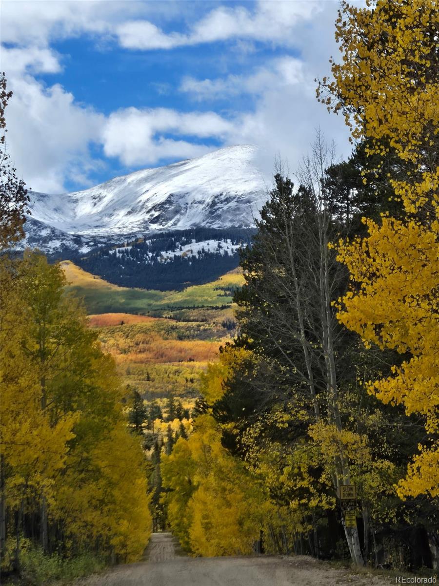 MLS Image #42 for 834  lodge pole drive,leadville, Colorado