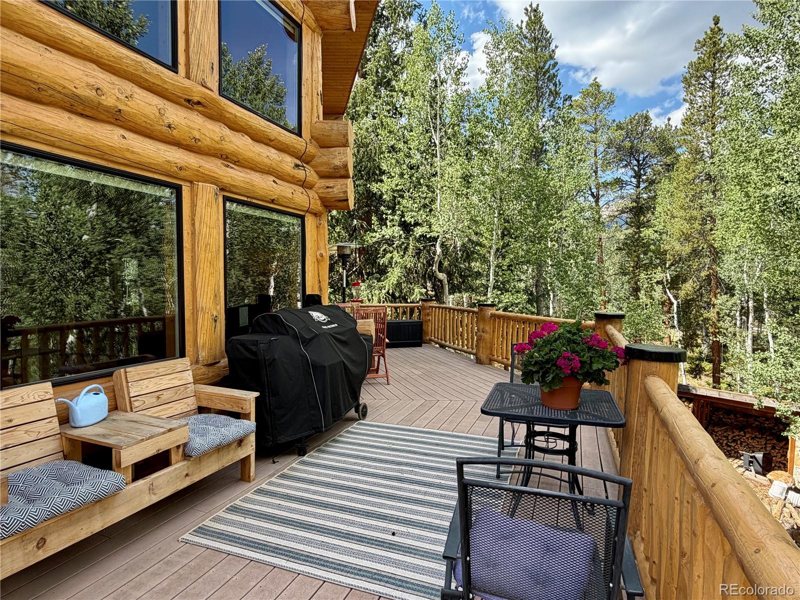 MLS Image #43 for 834  lodge pole drive,leadville, Colorado