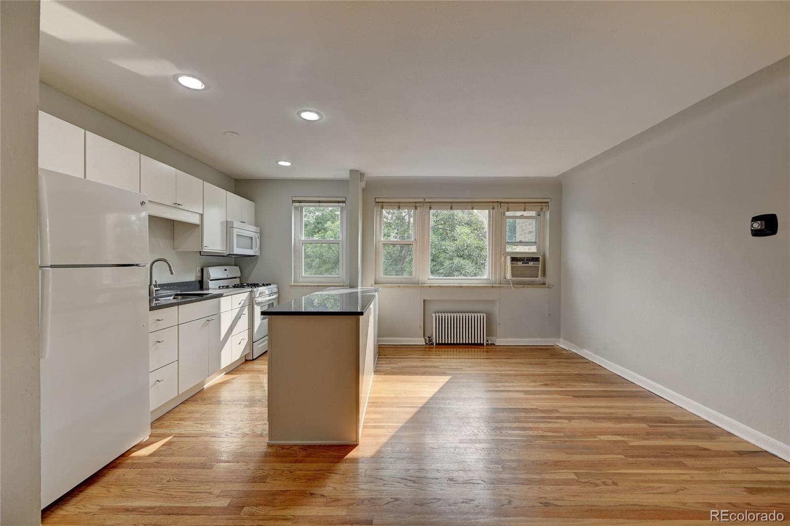 MLS Image #5 for 505 n logan street 6,denver, Colorado