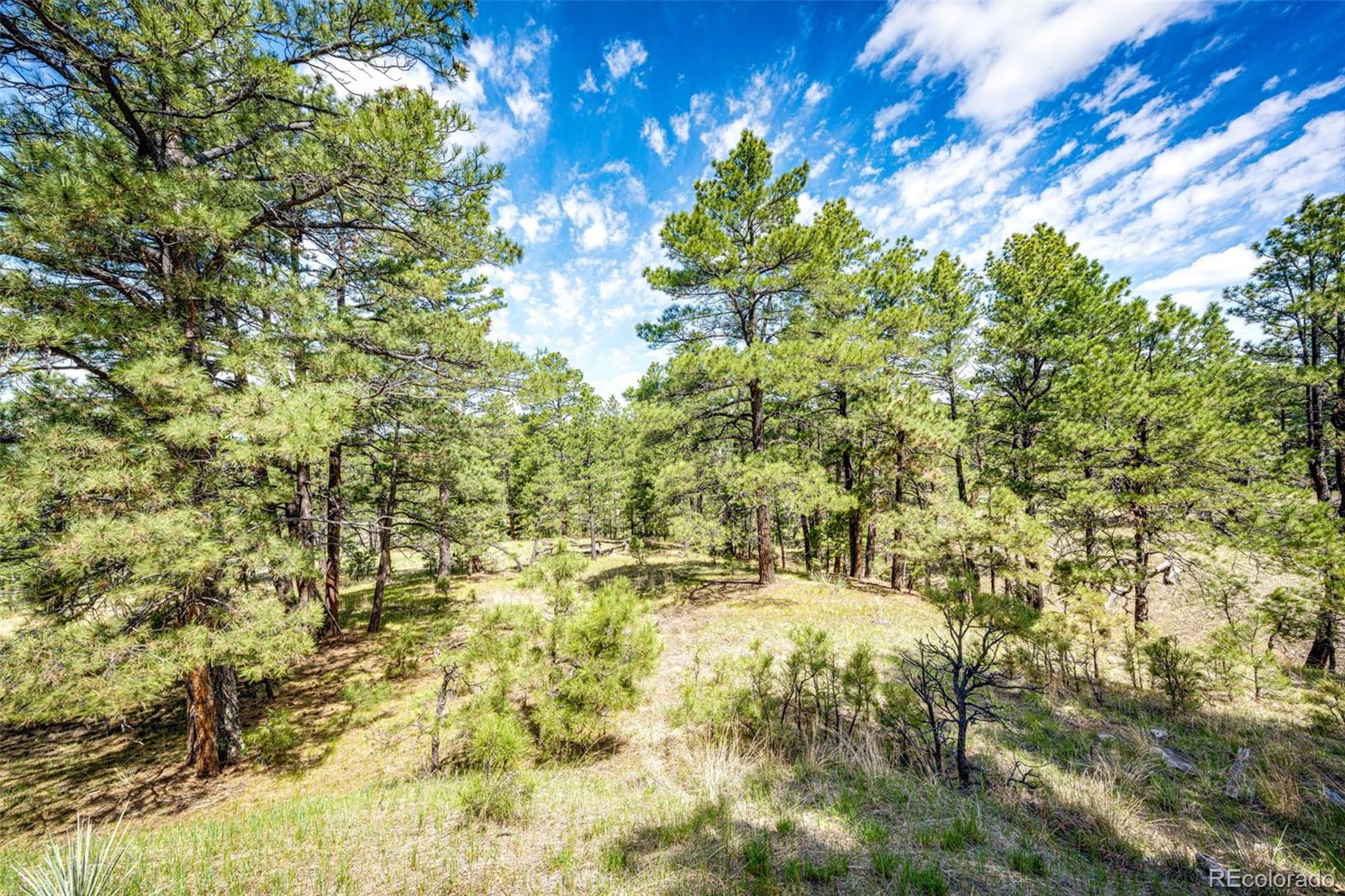 MLS Image #10 for 40400  moon stone court,deer trail, Colorado
