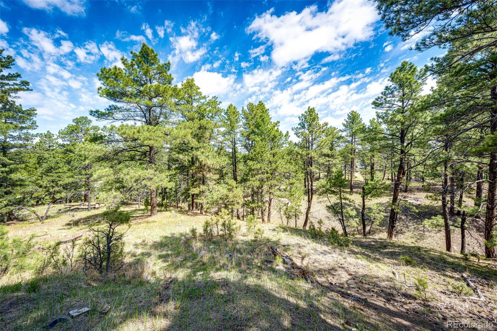 MLS Image #9 for 40400  moon stone court,deer trail, Colorado