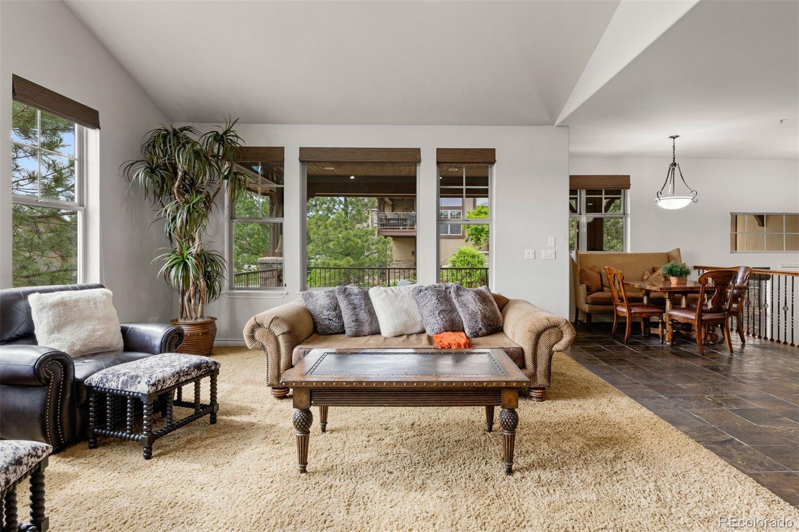 MLS Image #9 for 4366  chateau ridge lane,castle rock, Colorado