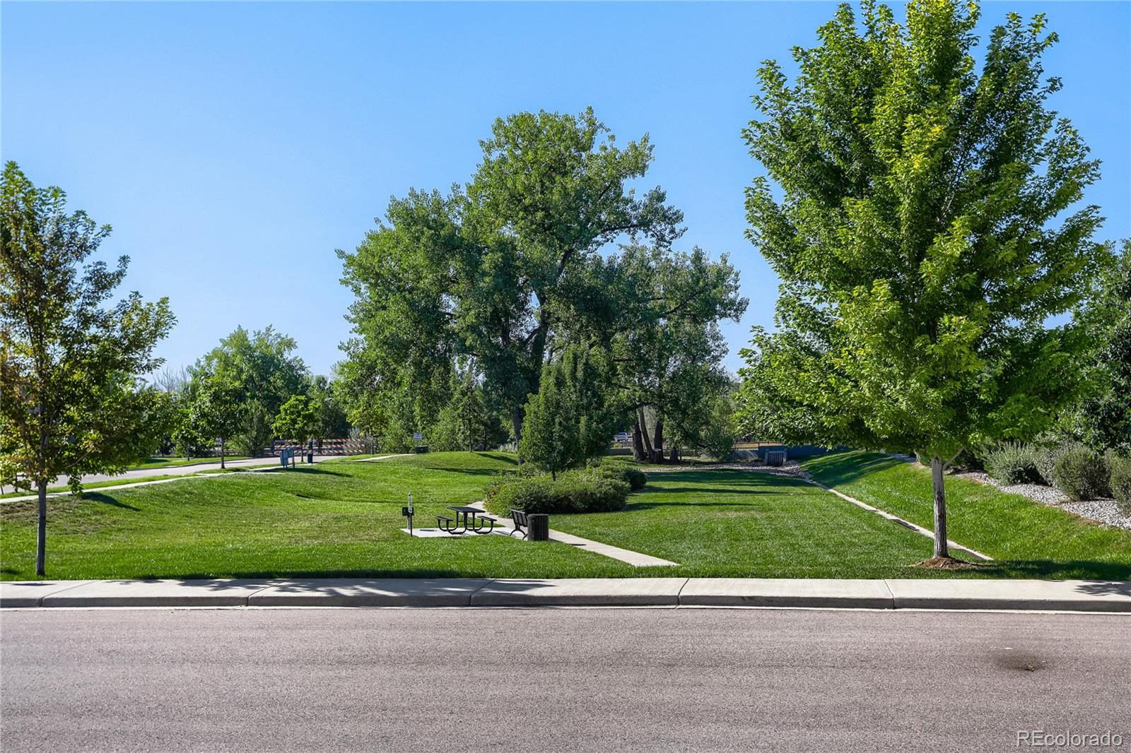 MLS Image #37 for 801  widgeon drive,longmont, Colorado