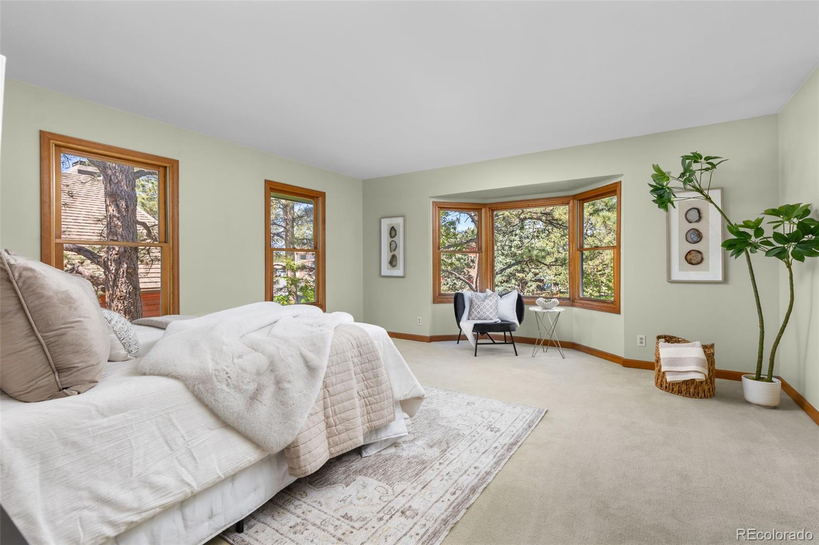 MLS Image #22 for 6122 n beckwourth court,parker, Colorado