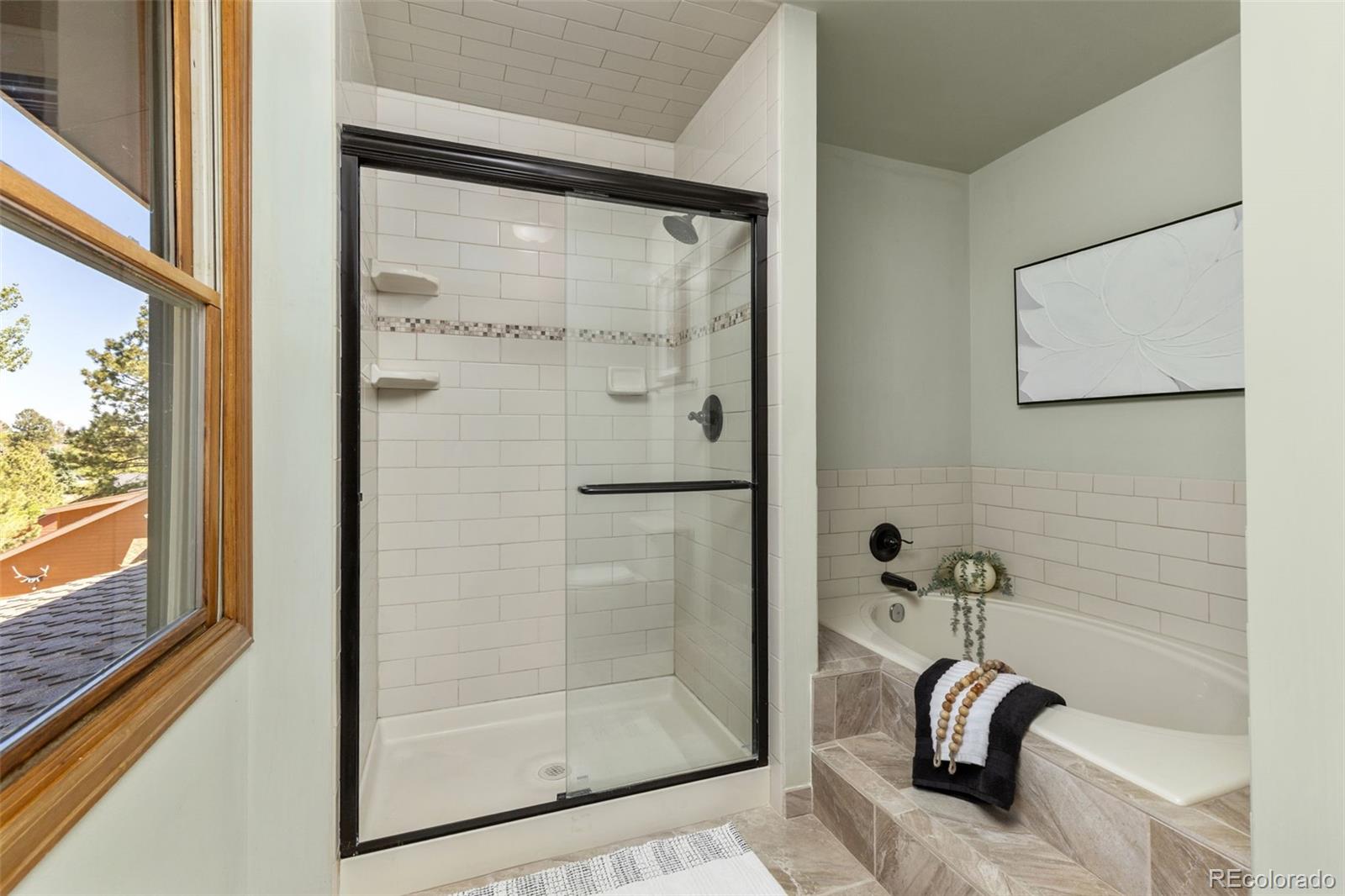 MLS Image #26 for 6122 n beckwourth court,parker, Colorado