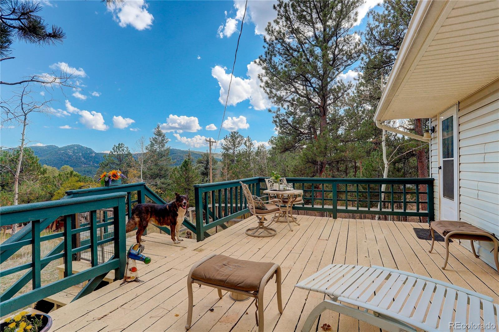 MLS Image #34 for 114  patty drive,evergreen, Colorado