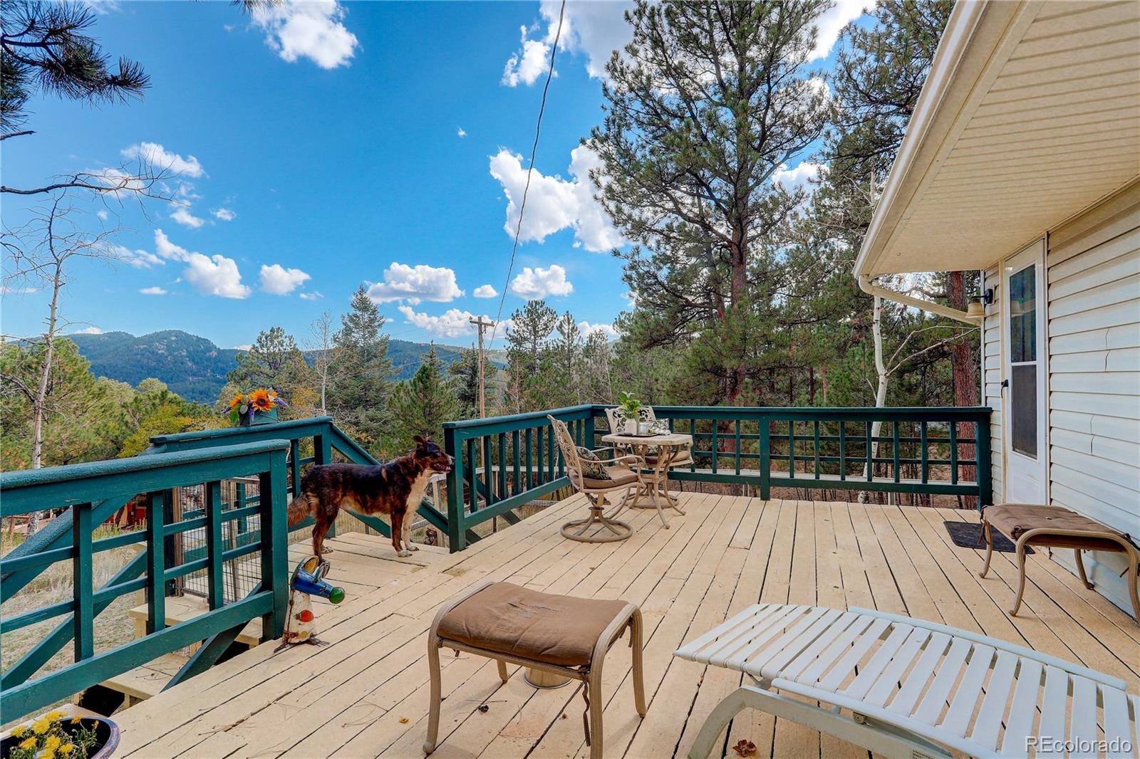 MLS Image #35 for 114  patty drive,evergreen, Colorado