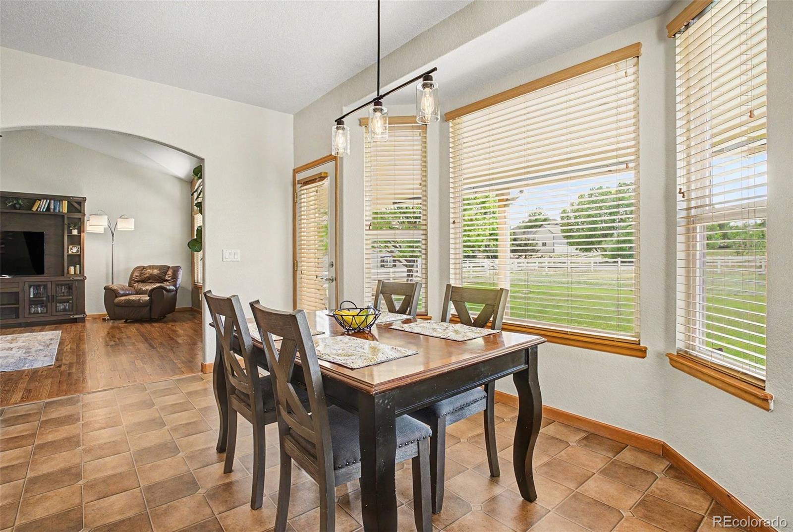 MLS Image #19 for 16555  umpire court,hudson, Colorado