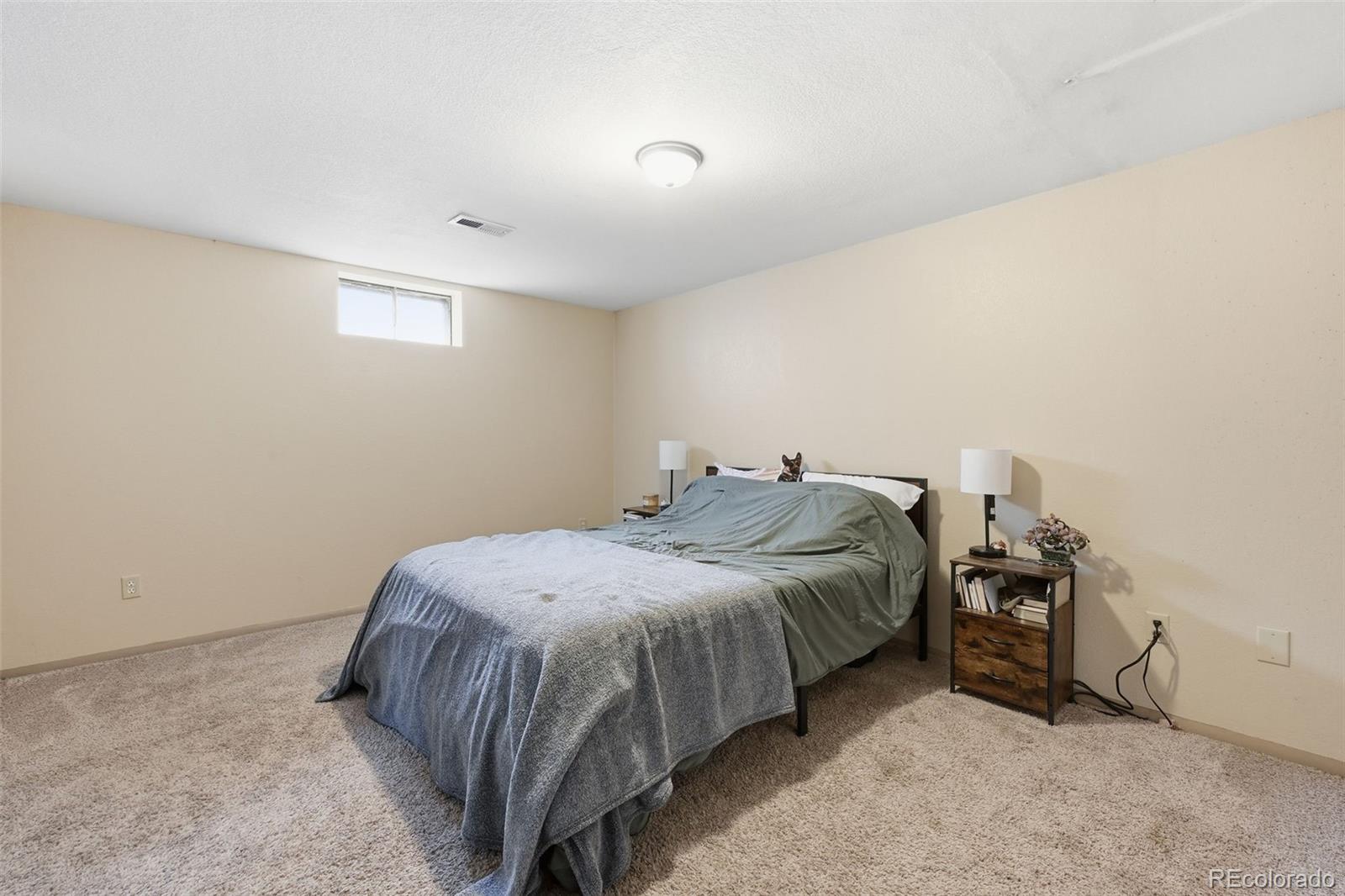 MLS Image #21 for 609  placid road,colorado springs, Colorado