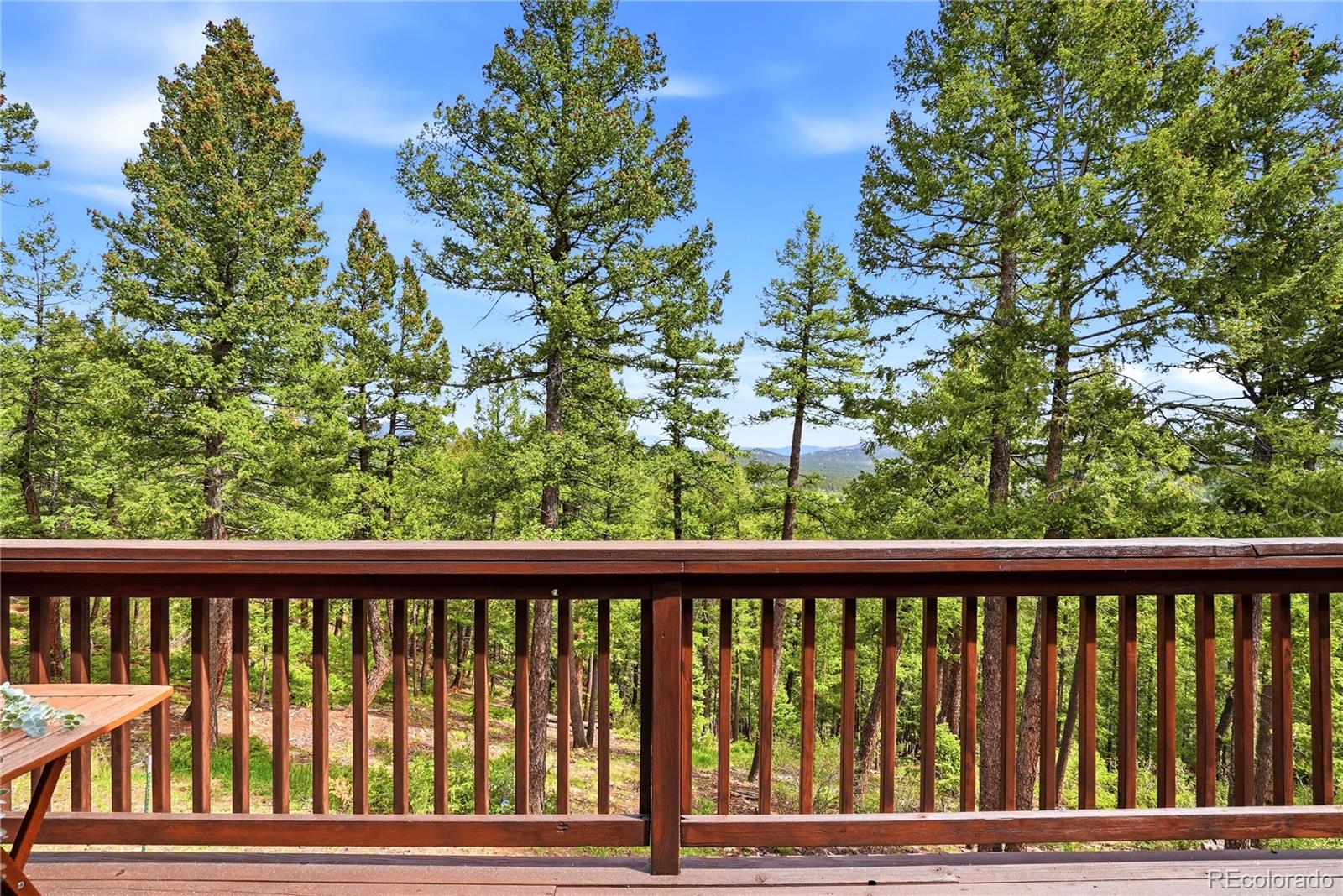 MLS Image #24 for 28182  bonanza drive,evergreen, Colorado