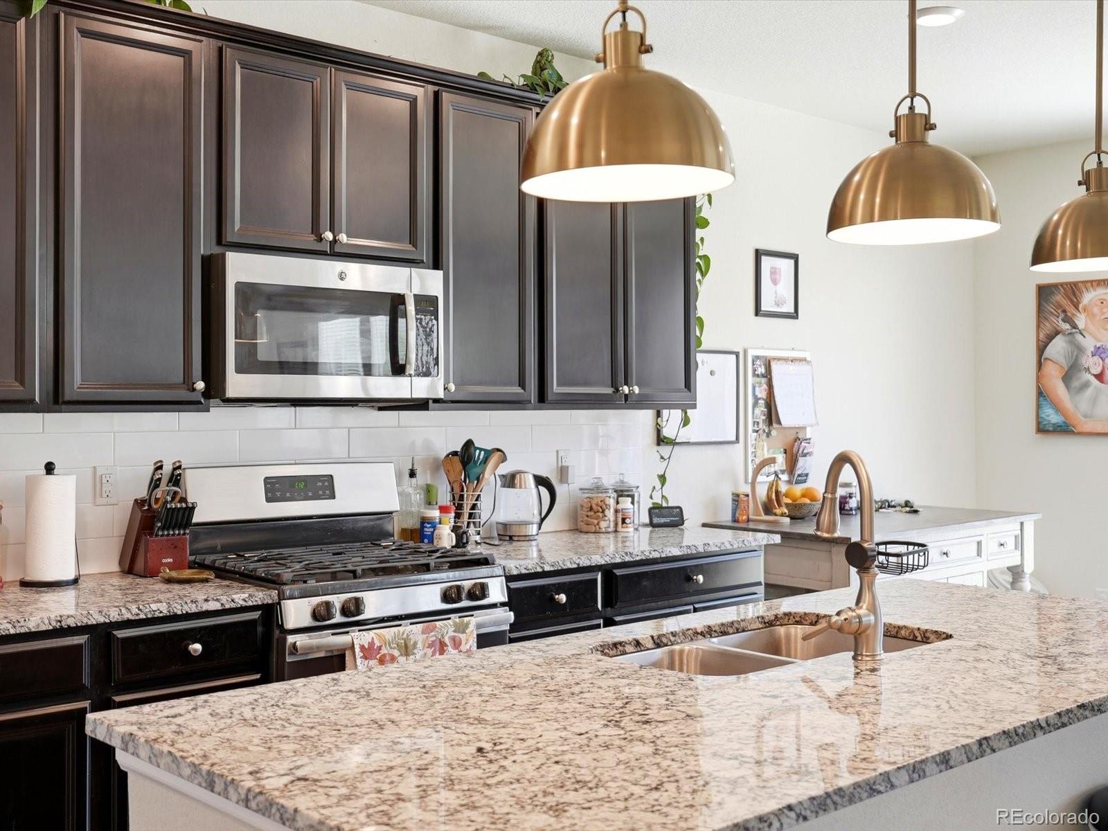 MLS Image #4 for 15006  vienna circle,parker, Colorado