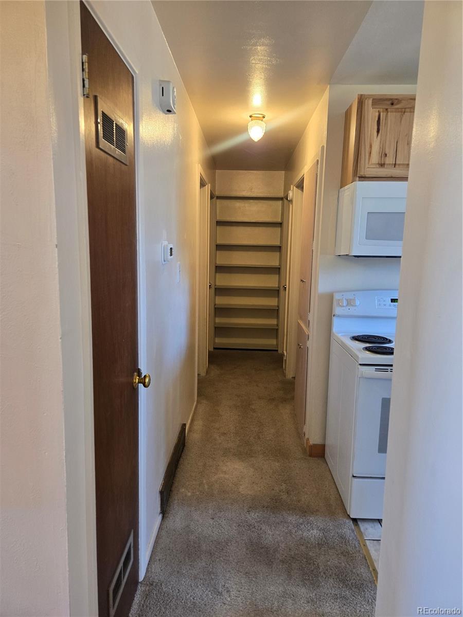 MLS Image #10 for 1309  mount elbert drive,leadville, Colorado