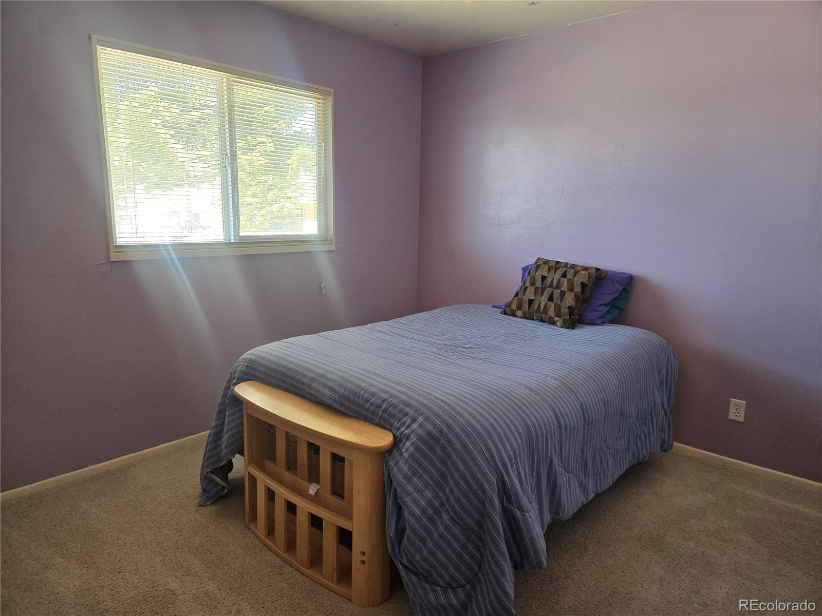 MLS Image #11 for 1309  mount elbert drive,leadville, Colorado