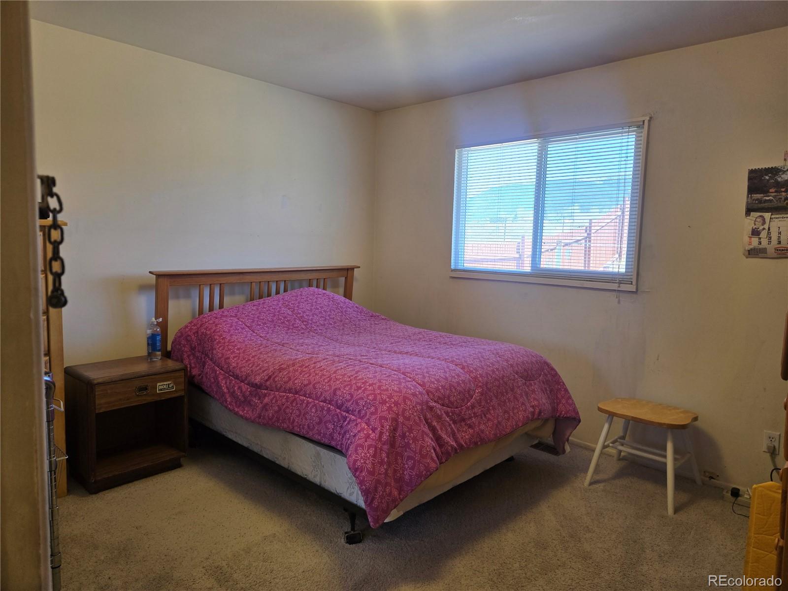 MLS Image #12 for 1309  mount elbert drive,leadville, Colorado