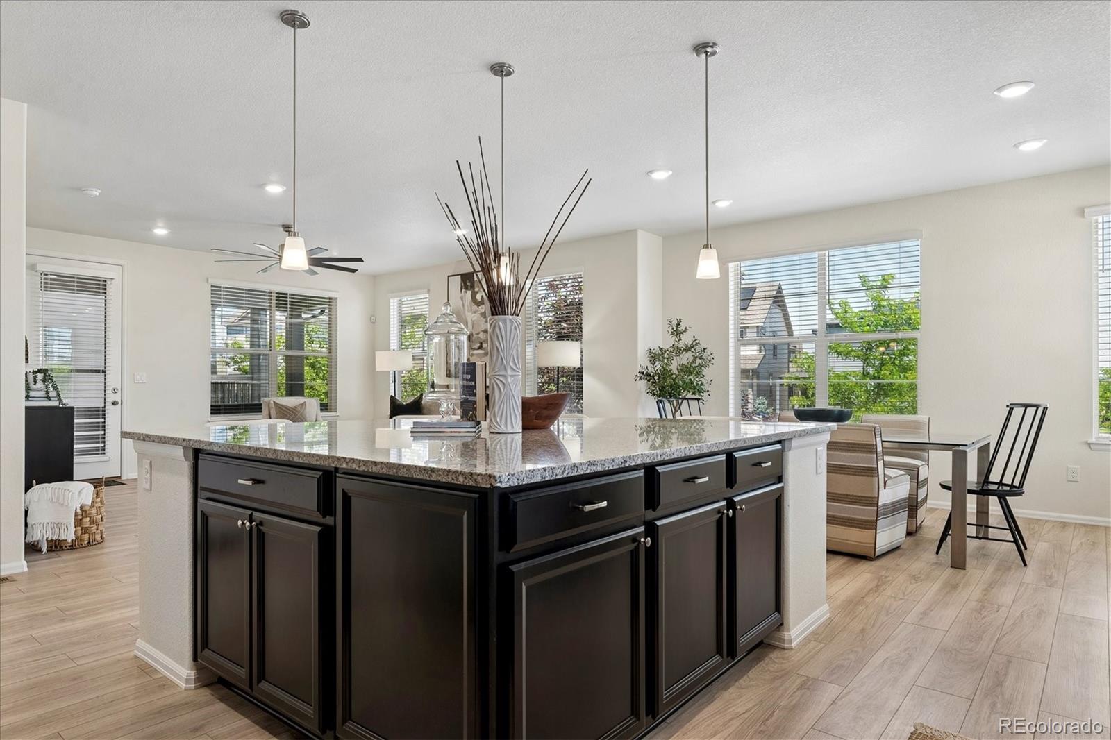 MLS Image #12 for 9677  bennett peak street,littleton, Colorado