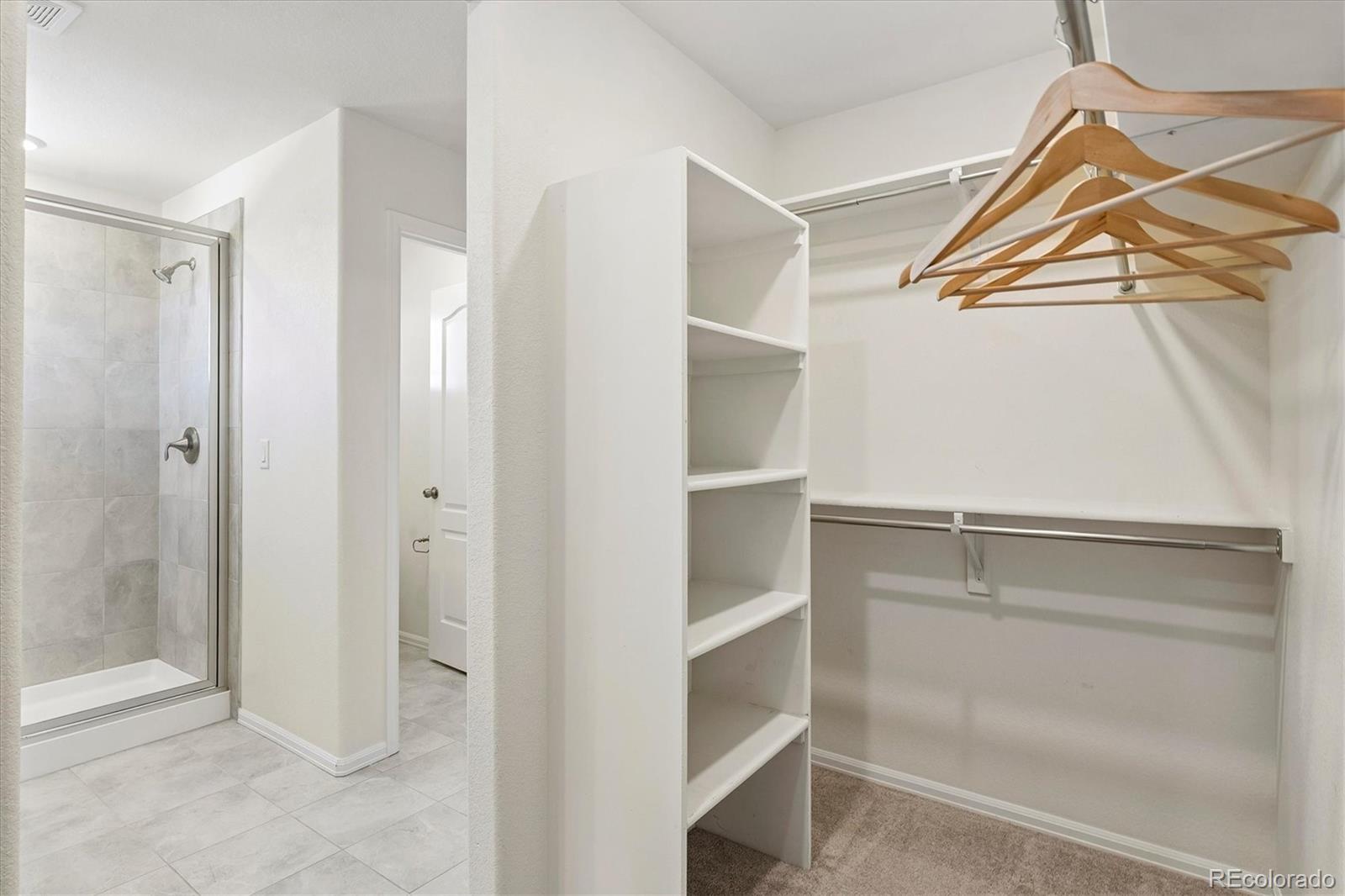 MLS Image #22 for 9677  bennett peak street,littleton, Colorado