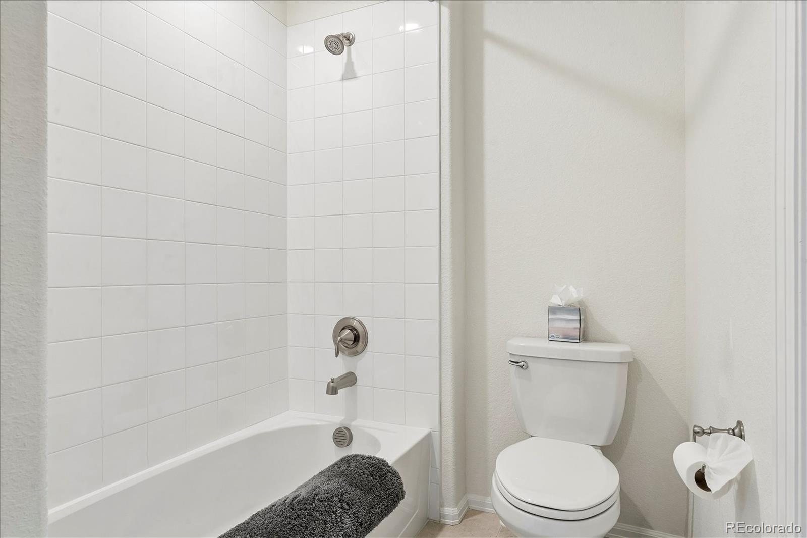 MLS Image #27 for 9677  bennett peak street,littleton, Colorado
