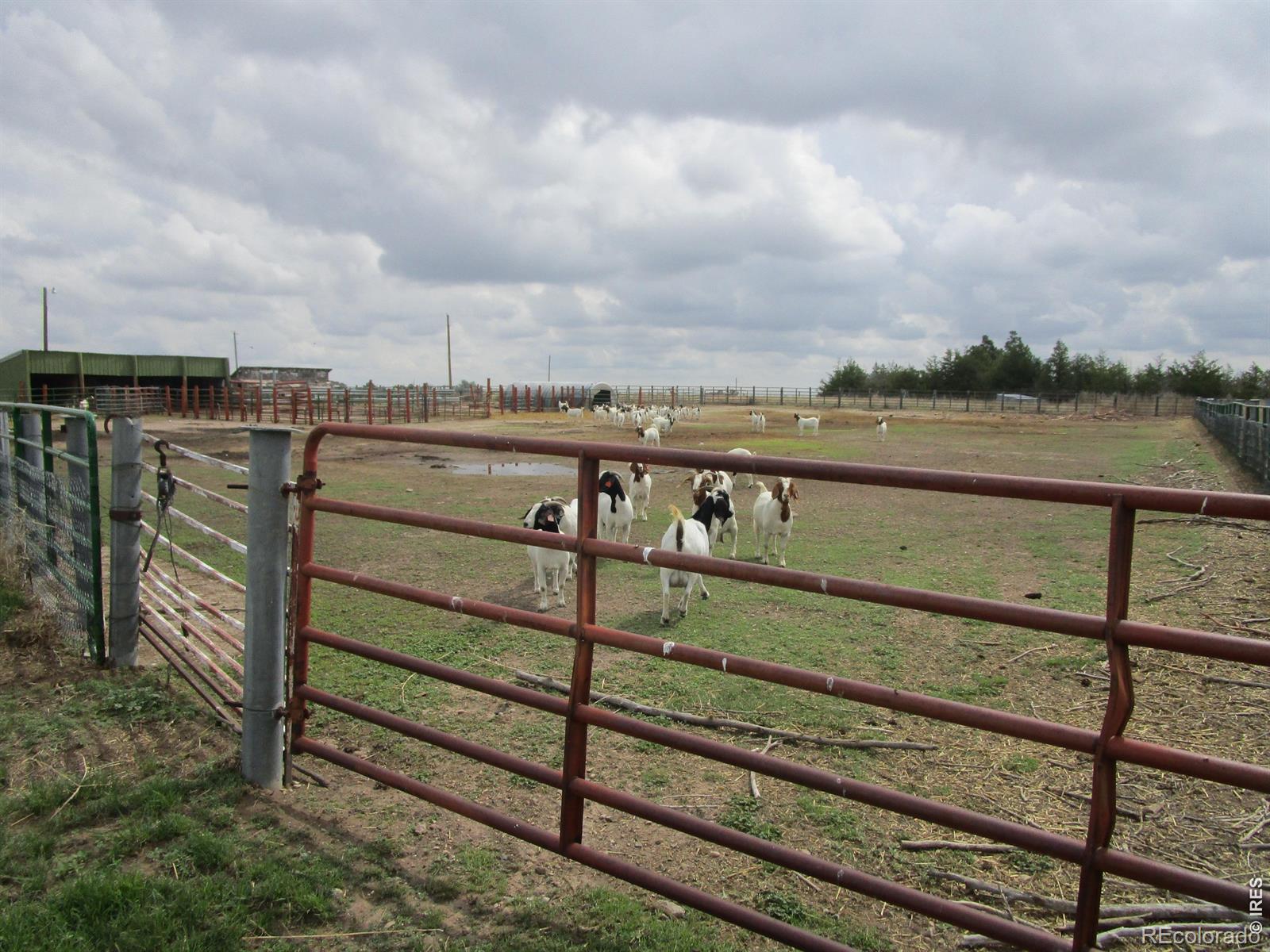 MLS Image #11 for 5576  county road g ,joes, Colorado