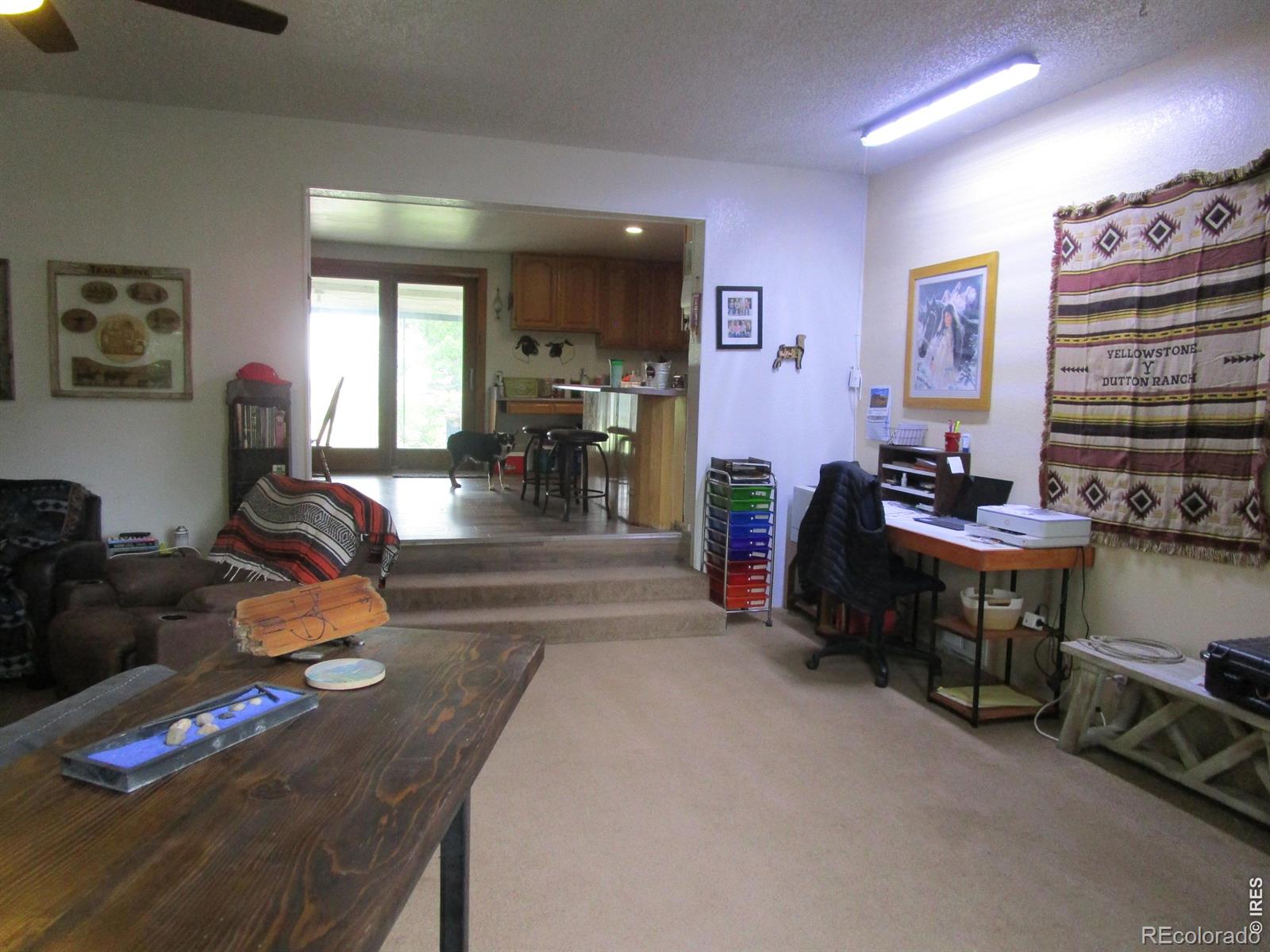 MLS Image #22 for 5576  county road g ,joes, Colorado