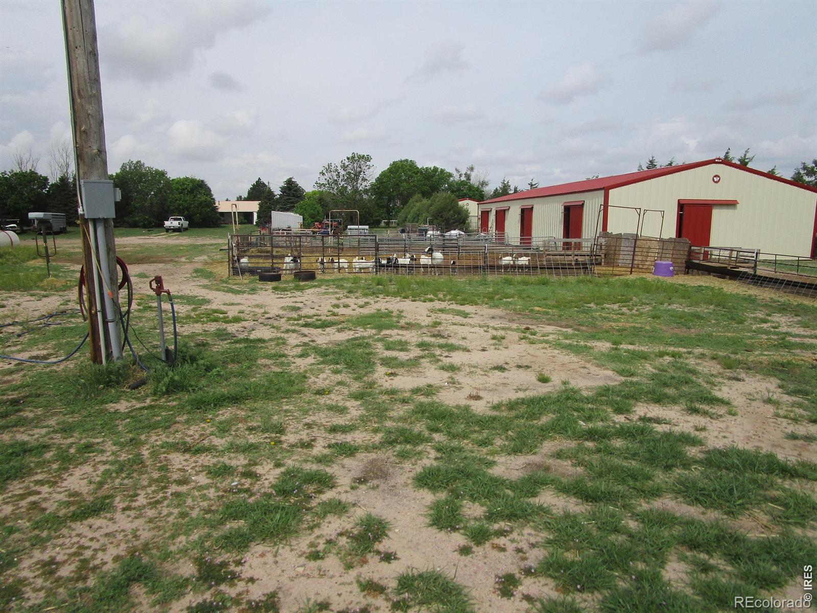 MLS Image #6 for 5576  county road g ,joes, Colorado