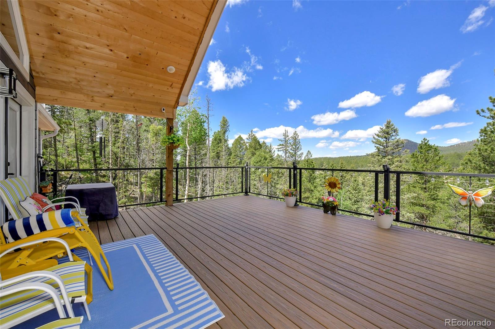 MLS Image #1 for 100  wildcat creek drive,florissant, Colorado