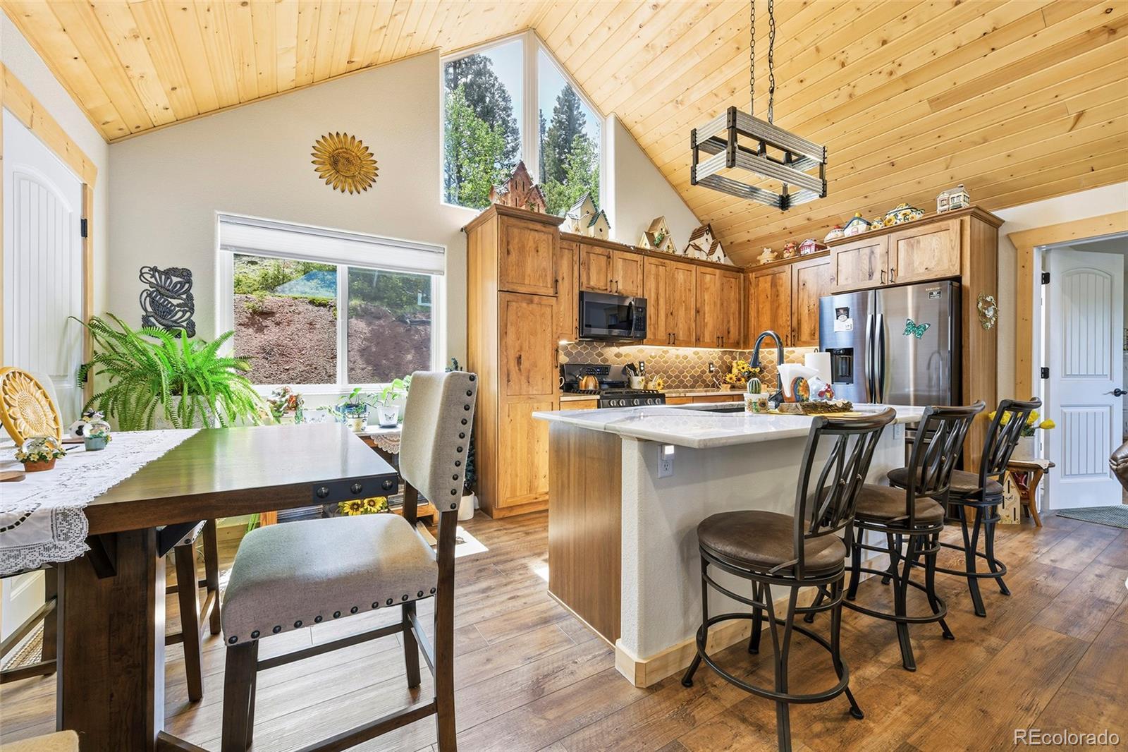 MLS Image #10 for 100  wildcat creek drive,florissant, Colorado