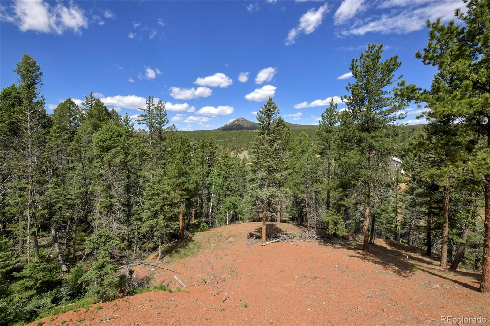 MLS Image #2 for 100  wildcat creek drive,florissant, Colorado
