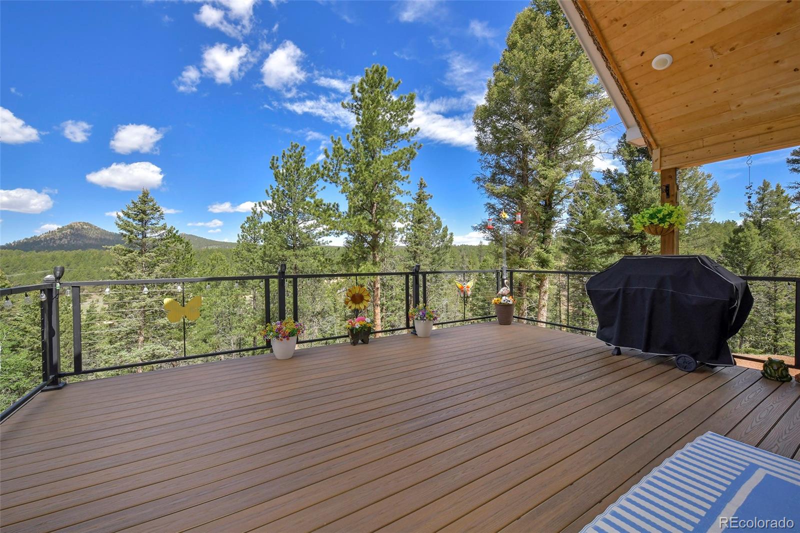 MLS Image #3 for 100  wildcat creek drive,florissant, Colorado