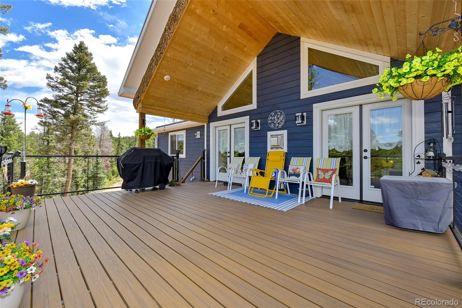 MLS Image #4 for 100  wildcat creek drive,florissant, Colorado