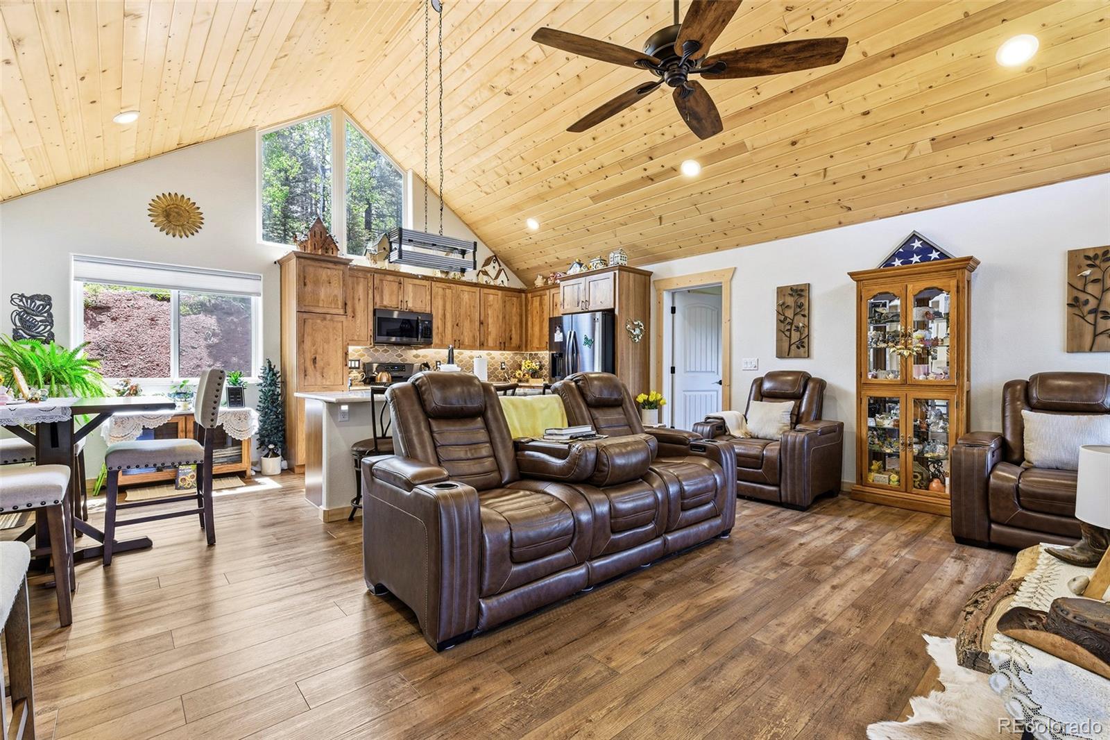 MLS Image #6 for 100  wildcat creek drive,florissant, Colorado