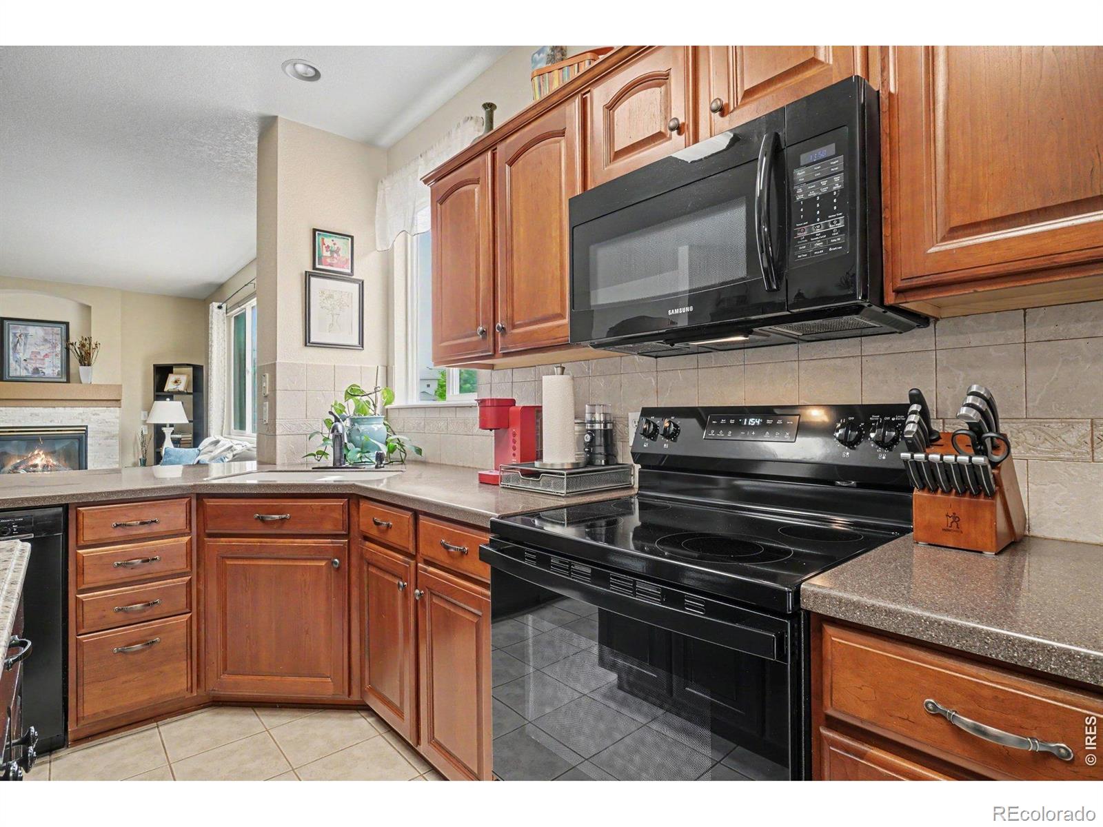 MLS Image #9 for 1926  rannoch drive,longmont, Colorado