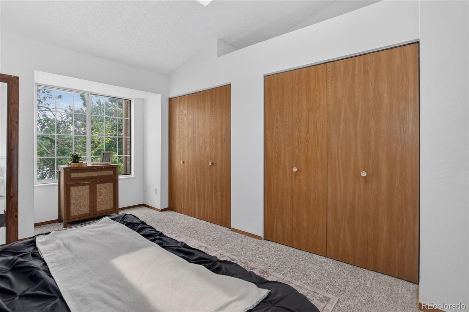 MLS Image #16 for 11133 w 17th avenue,lakewood, Colorado