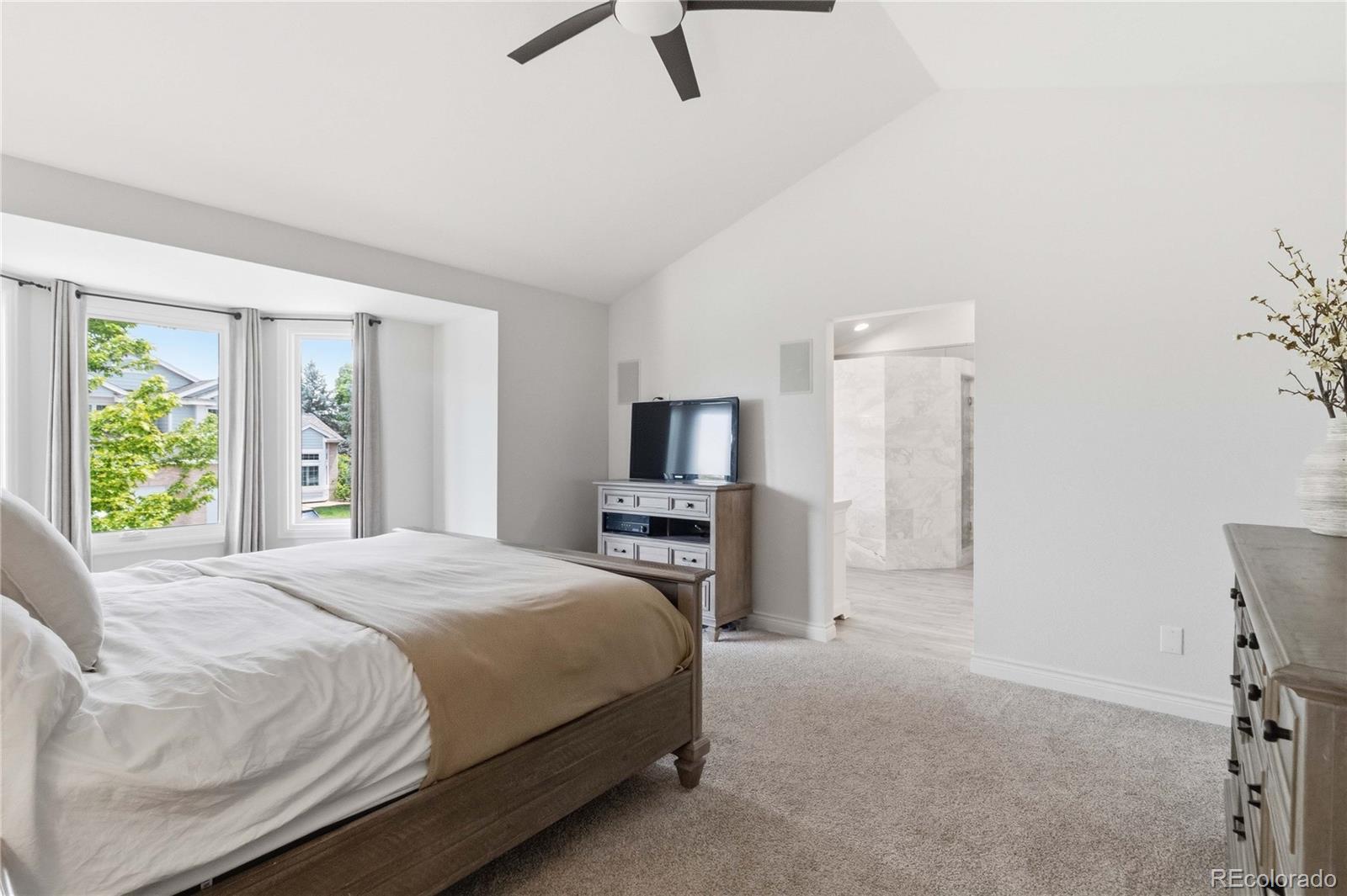 MLS Image #19 for 2683  ravenhill circle,highlands ranch, Colorado
