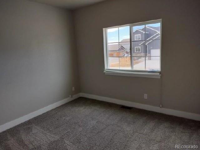 MLS Image #9 for 1756  avery plaza street,severance, Colorado