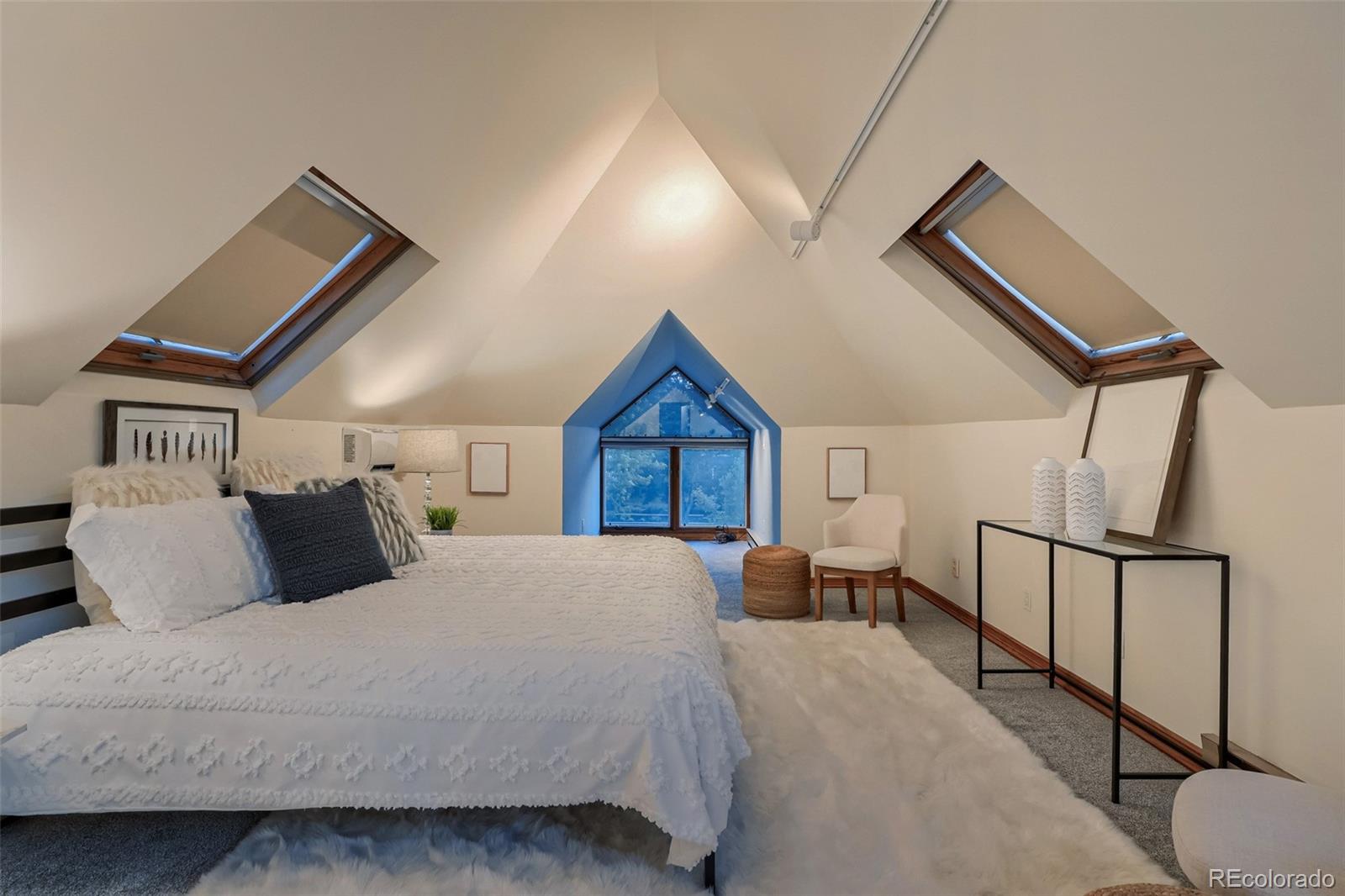 MLS Image #24 for 1060  milwaukee street,denver, Colorado