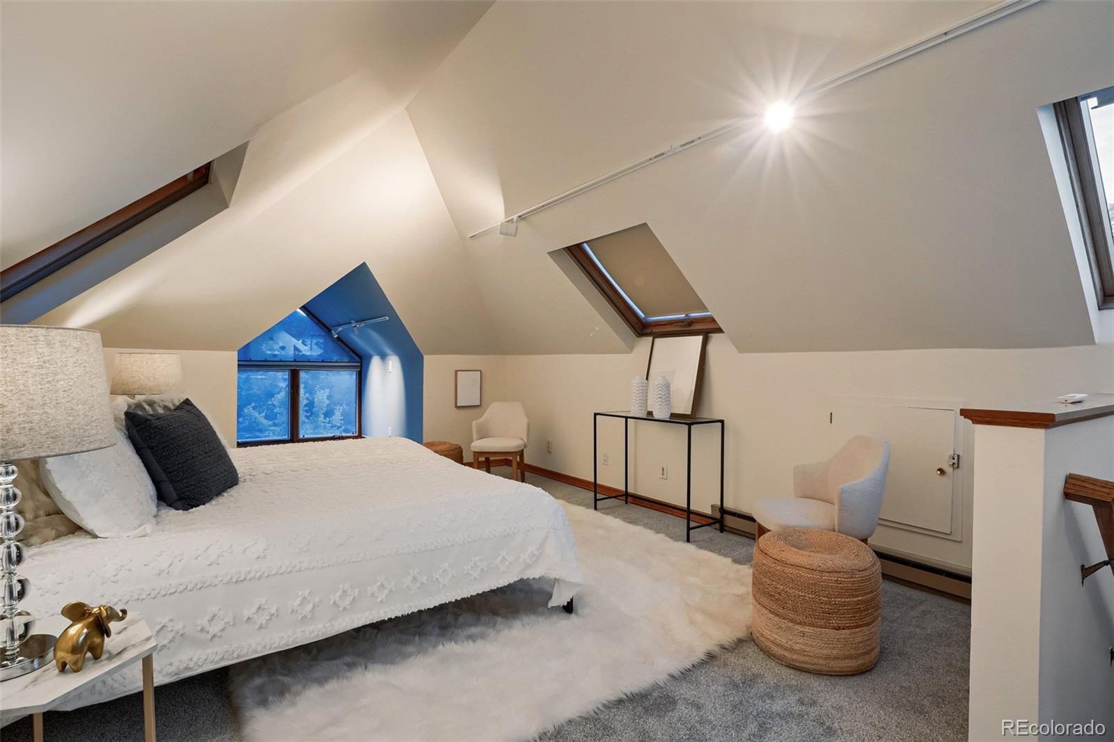 MLS Image #26 for 1060  milwaukee street,denver, Colorado