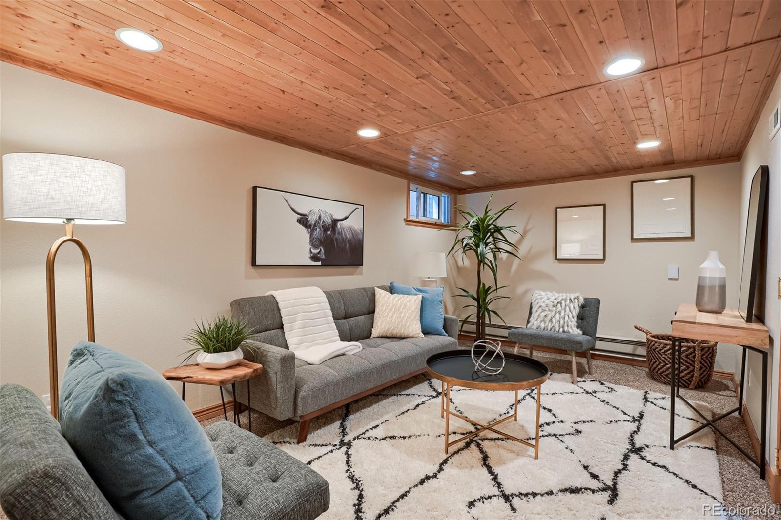 MLS Image #29 for 1060  milwaukee street,denver, Colorado