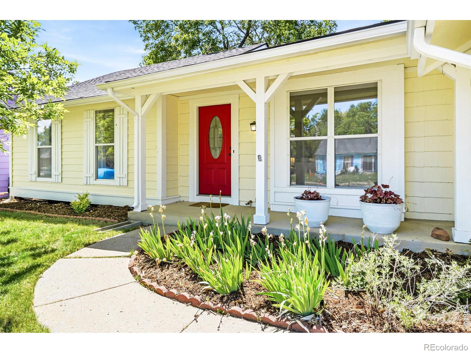 MLS Image #1 for 113 s polk avenue,louisville, Colorado