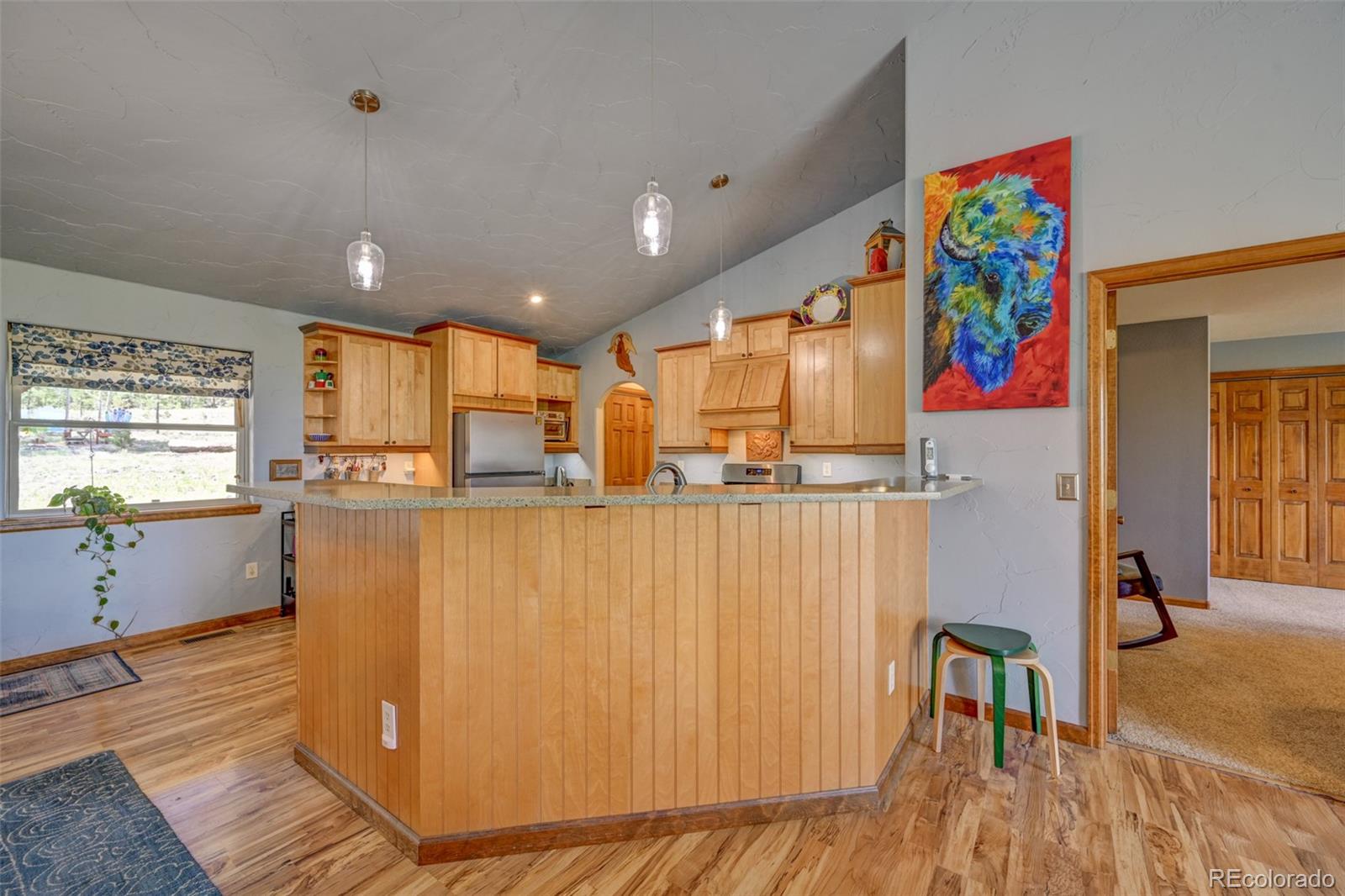 MLS Image #16 for 730  lariat loop,hartsel, Colorado